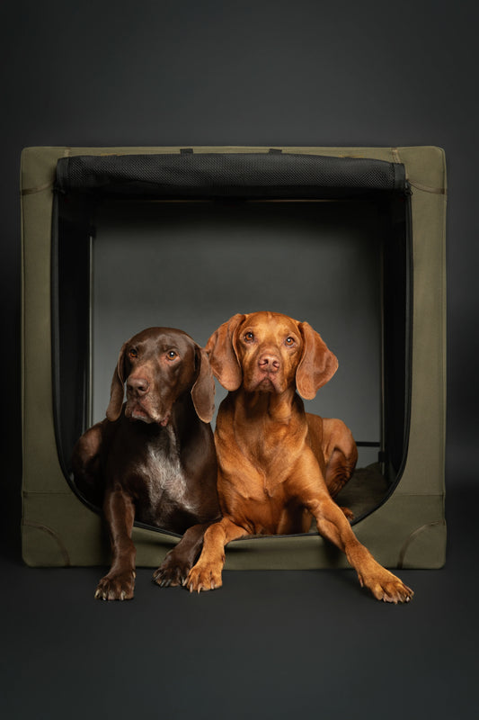 Collapsible Dog Crate Including Pet Mat Ideal for Traveling (Patented Folding)
