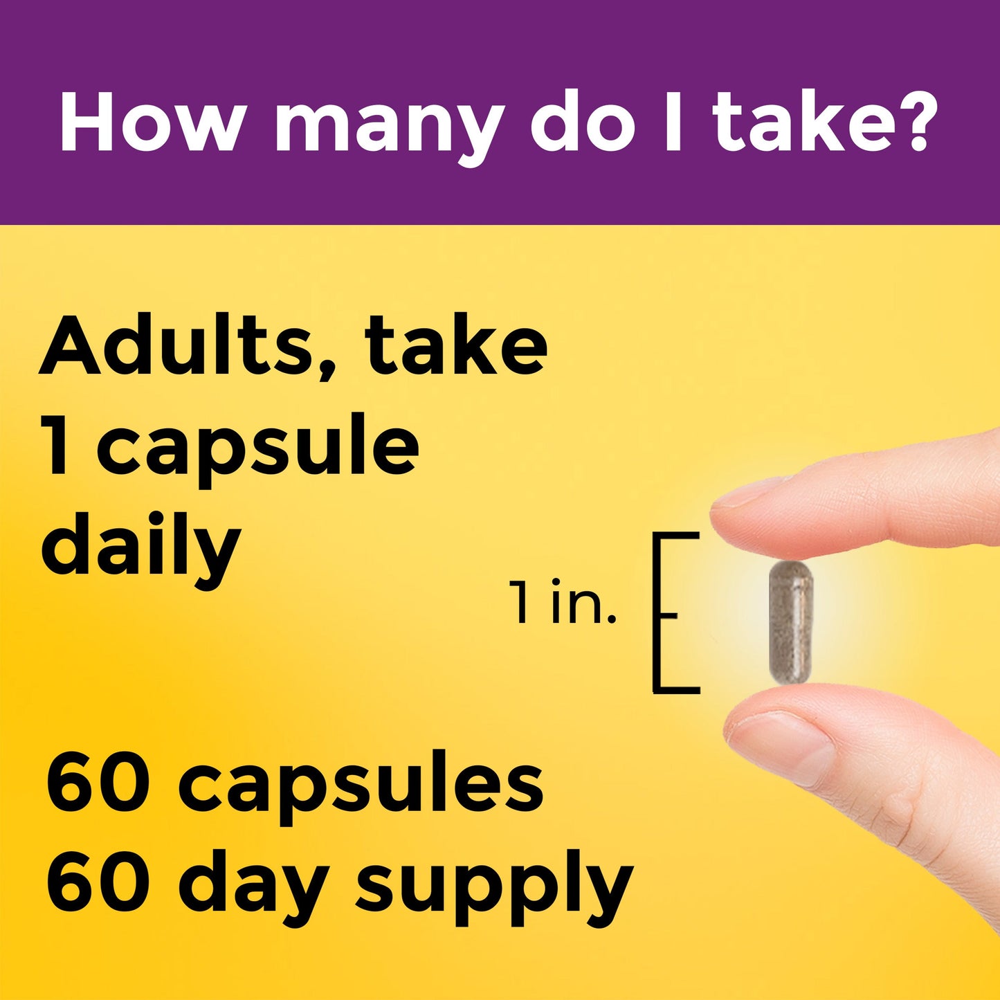 Multi + Elderberry Capsules