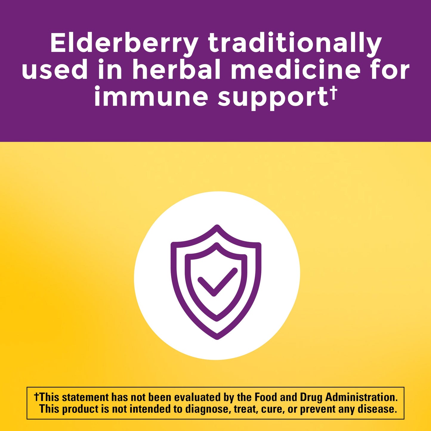 Multi + Elderberry Capsules