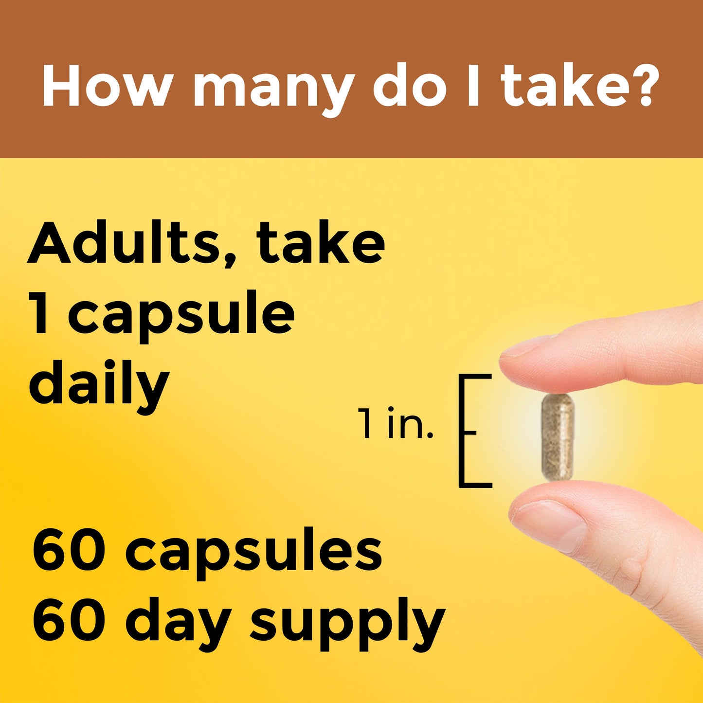 Multi + Ashwagandha Capsules