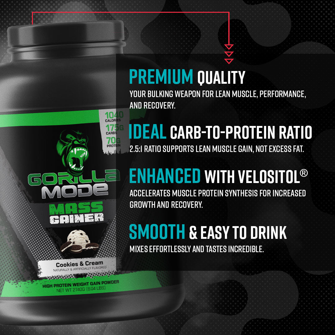Mass Gainer