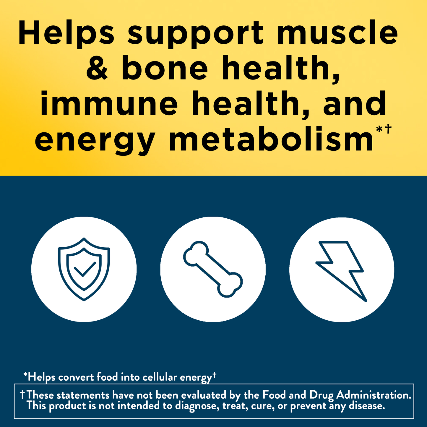 Men's Multivitamin 50+ Tablets