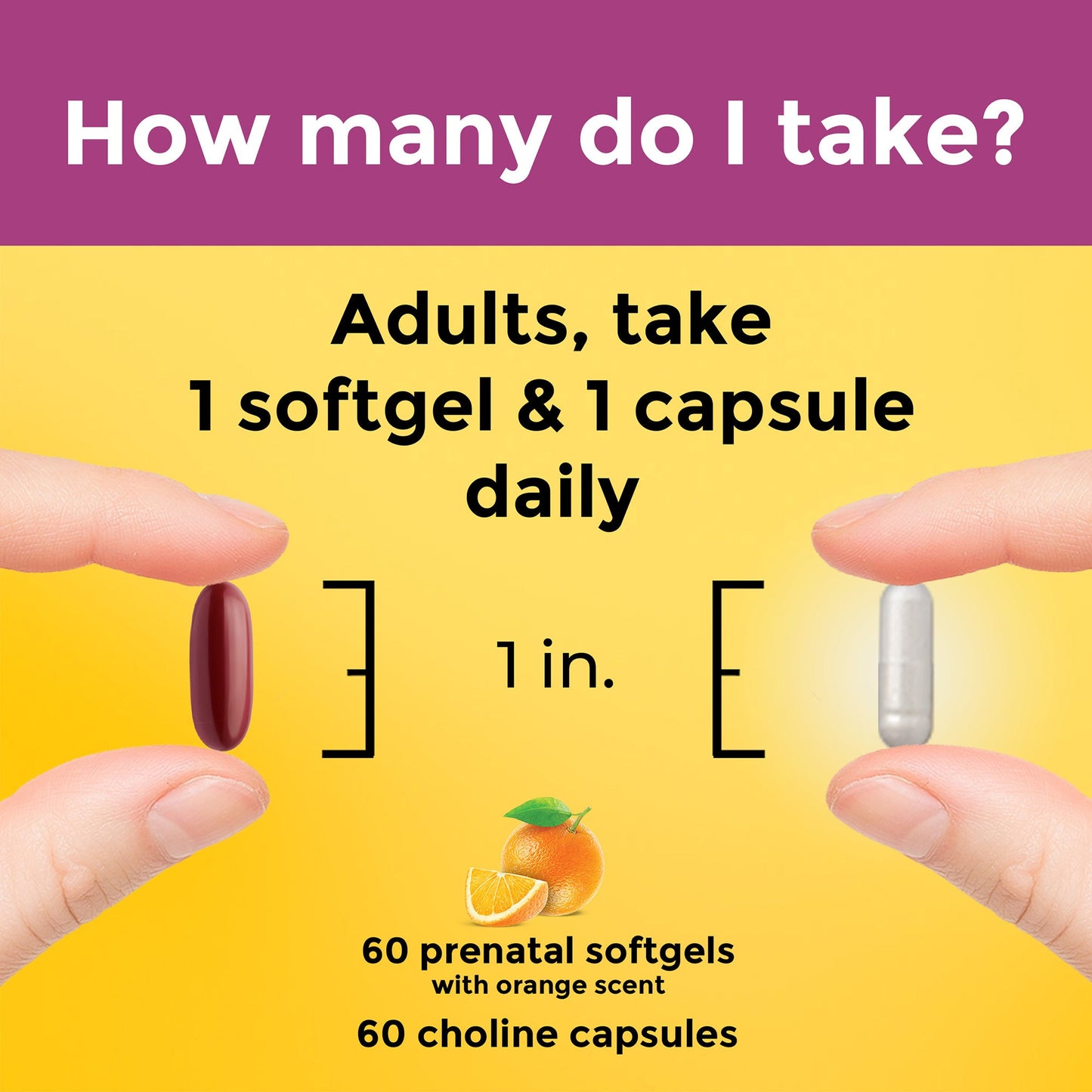 Prenatal Multi Softgels + Choline Capsules