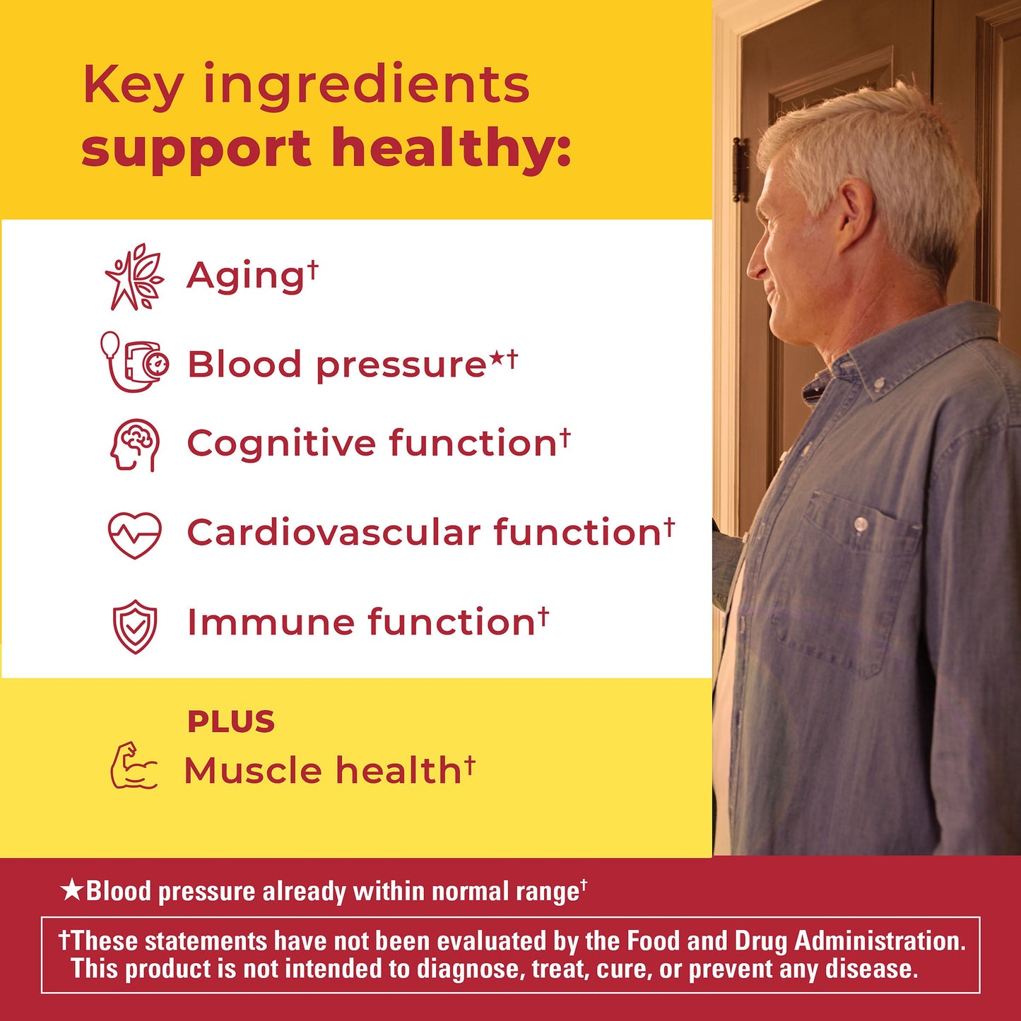 Advanced Multivitamin 50+ For Him Gummies