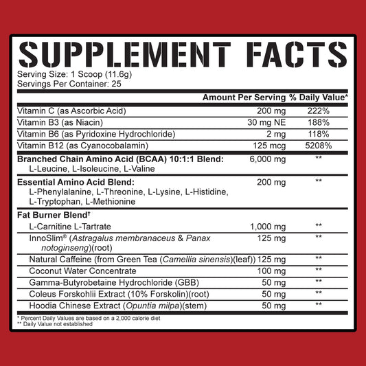 All Day You Shred Fat Burning BCAA Recovery Drink