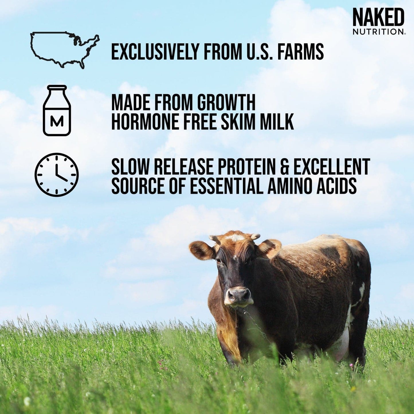 Vanilla Casein Protein Powder | Naked Vanilla Casein 5LB