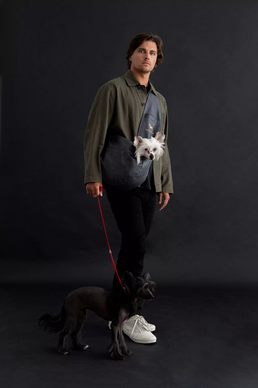 Vegan Leather Pet sling Carrier 3x Safety