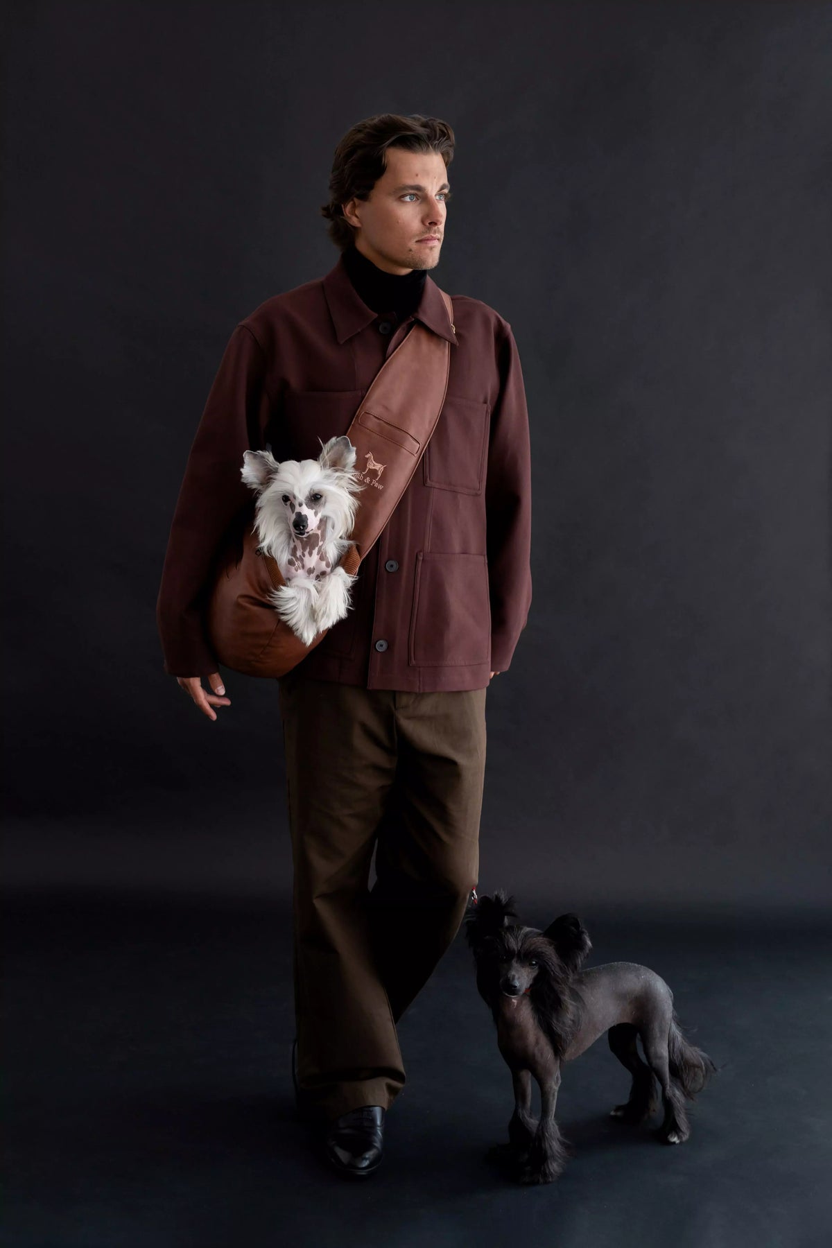 Vegan Leather Pet sling Carrier 3x Safety