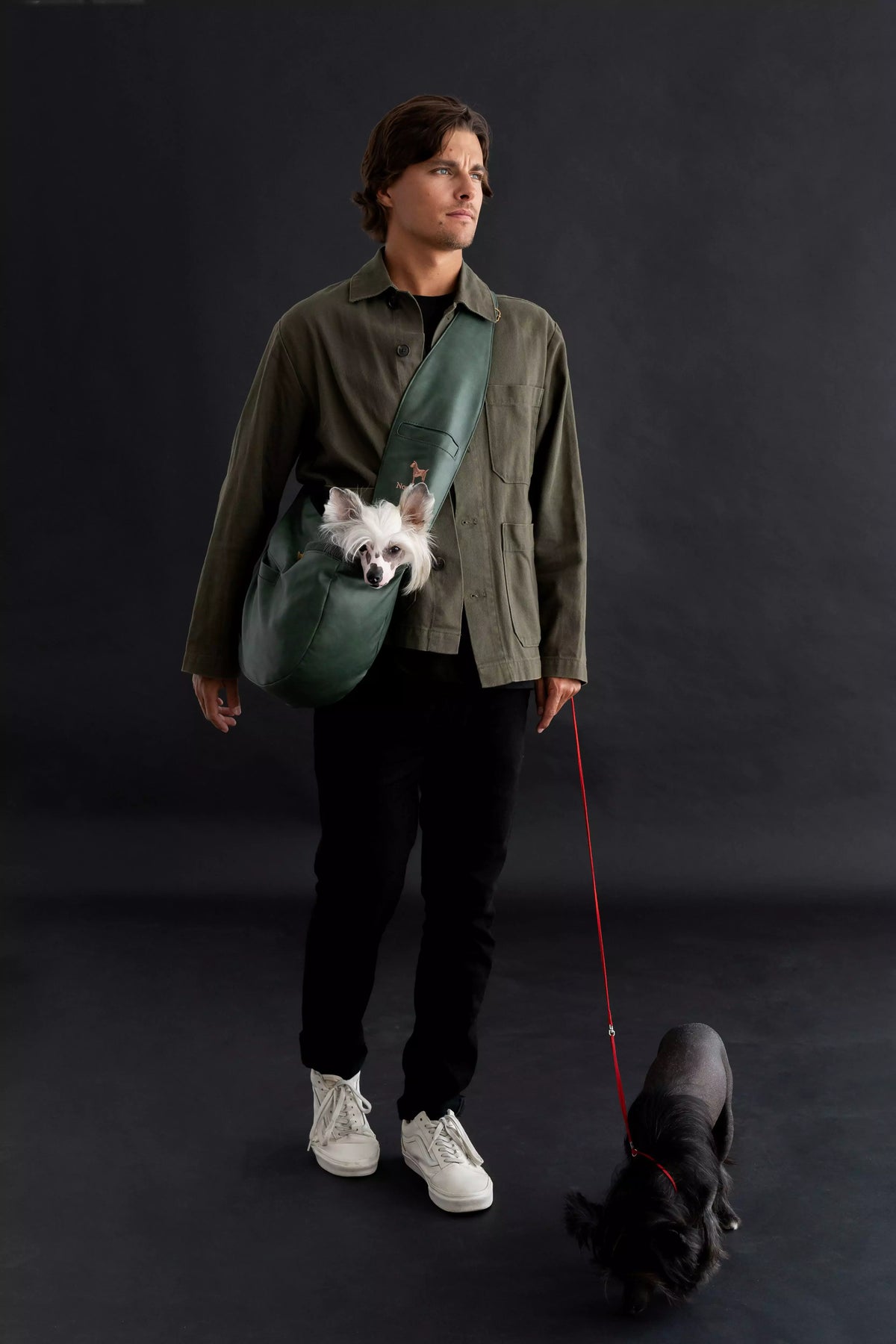 Vegan Leather Pet sling Carrier 3x Safety