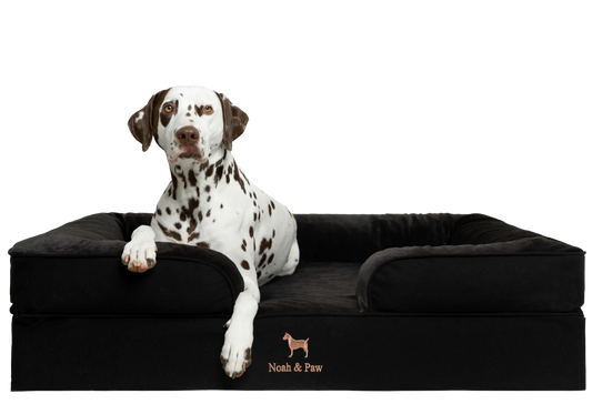 Denim, Orthopedic Pet Bed, Sofa Style - Black - XL