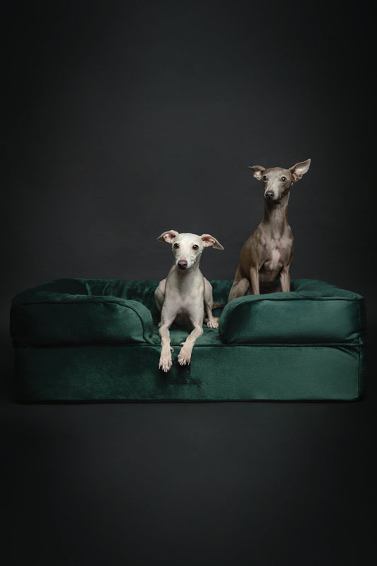 Velvet Orthopedic Pet Bed, Memory Foam, Infused with Cooling Gel