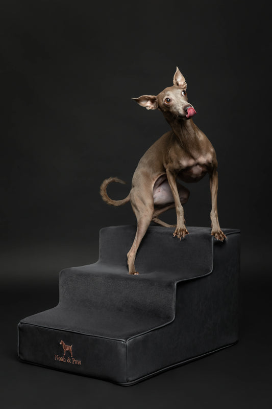 Luxury Dog Stairs for Bed, Faux Leather Collection, Black